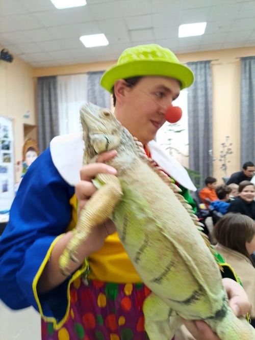 Печищега цирк килде