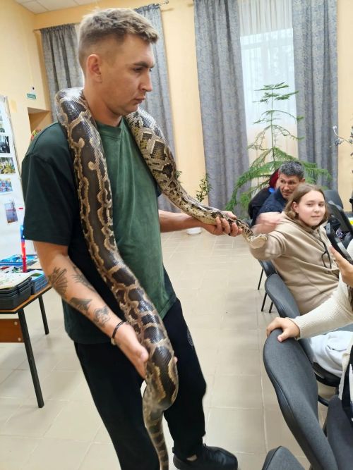 Печищега цирк килде