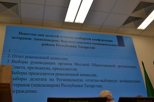 Ветераны Верхнеуслонского района переизбрали Римму Троицкую председателем