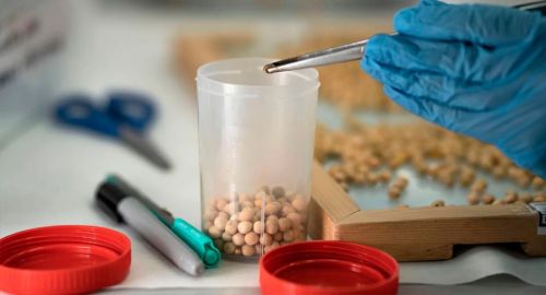 Аграрии Татарстана увеличили поставки зерна в Китай на 56% за полгода