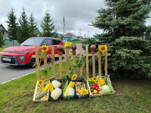 Концерт и мёд с блинами ждали гостей на Дне села в Кильдееве