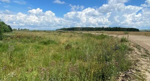 В Татарстане разработали первый проект рекультивации нарушенных сельхозземель
