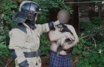 В Печищах спасли собаку, провалившуюся в глубокий колодец