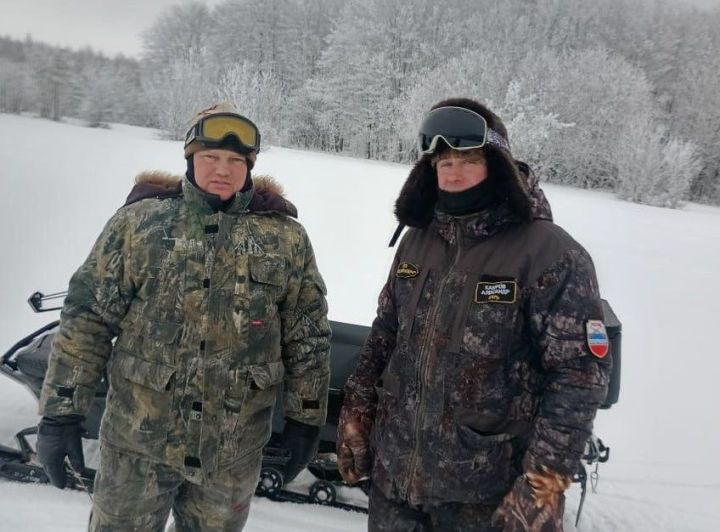 В лесах Верхнеуслонского района можно встретить лосей, зайцев, куниц