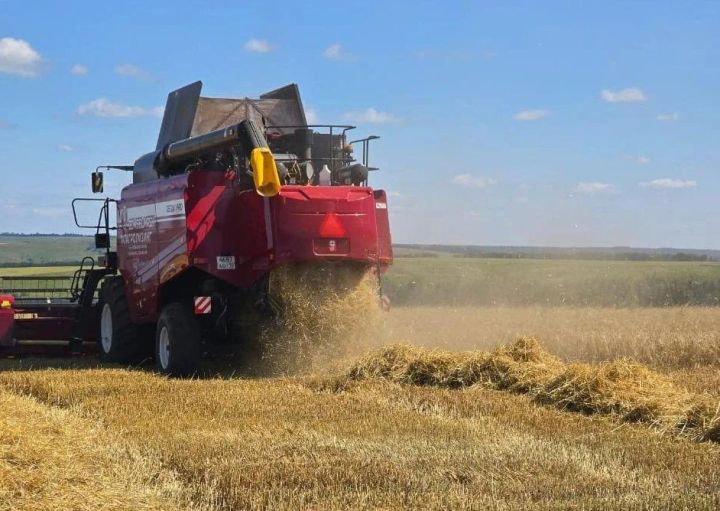Аграрии Верхнеуслонского района убрали более 80% зерновых