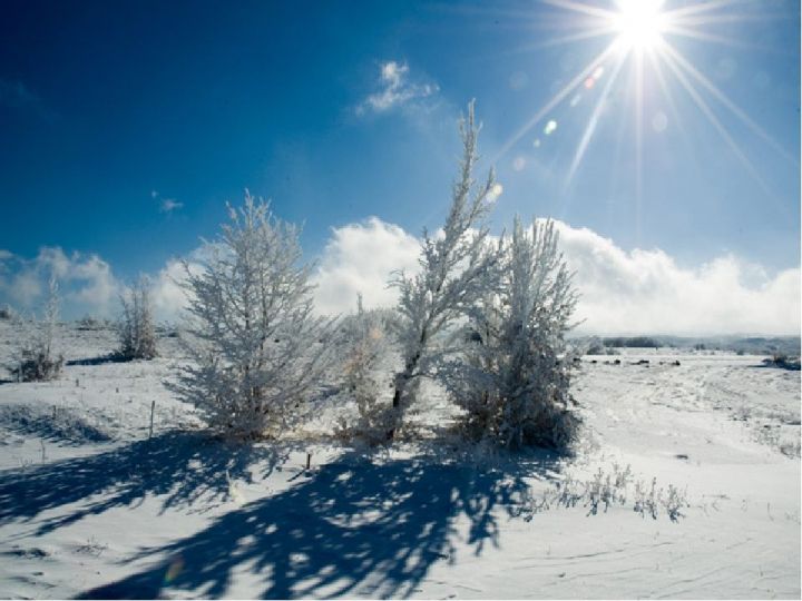 Какая погода ожидает верхнеуслонцев на предстоящей неделе с 15 по 21 января?