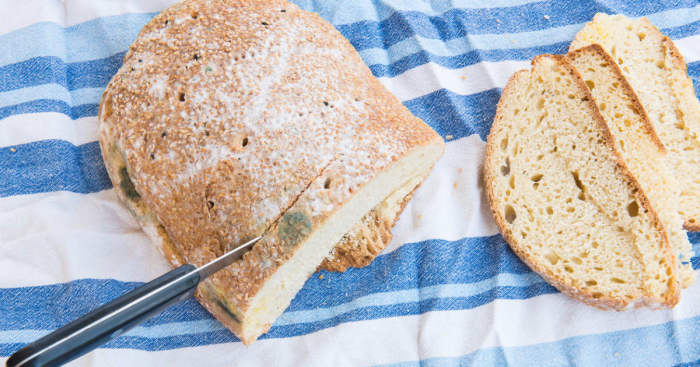 Можно ли употреблять в пищу «чистую» часть заплесневелого хлеба
