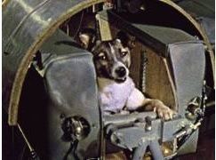 3 ноября 1957 г. в СССР совершен запуск «Спутник-2» с собакой Лайкой на борту