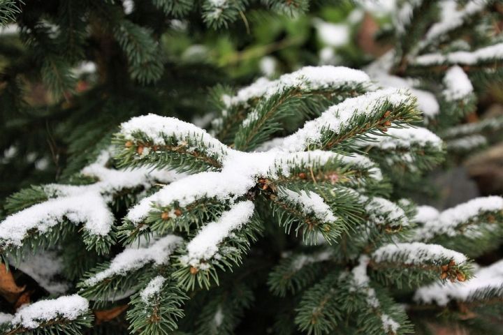 Синоптики Татарстана предупредили о мокром снеге и гололеде