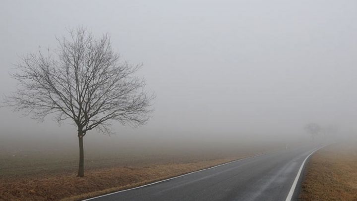 МЧС Верхнеуслонского района предупреждает о тумане и усилении ветра 2 мая