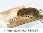 Мыши пробрались в банкомат и прогрызли 1 миллион