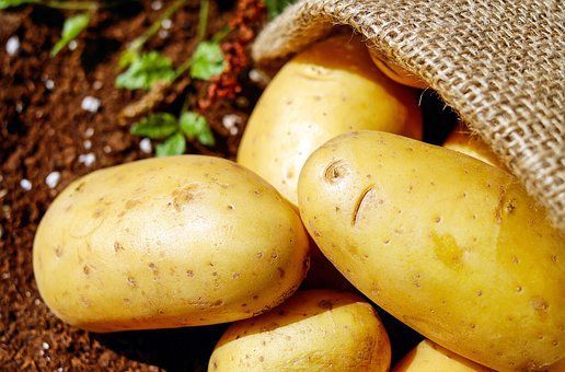 Как вырастить богатый урожай картофеля