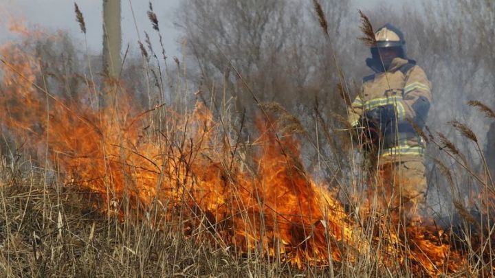 Главное управление МЧС РФ по РТ рекомендует руководителям районных администраций принять меры по недопущению природных пожаров
