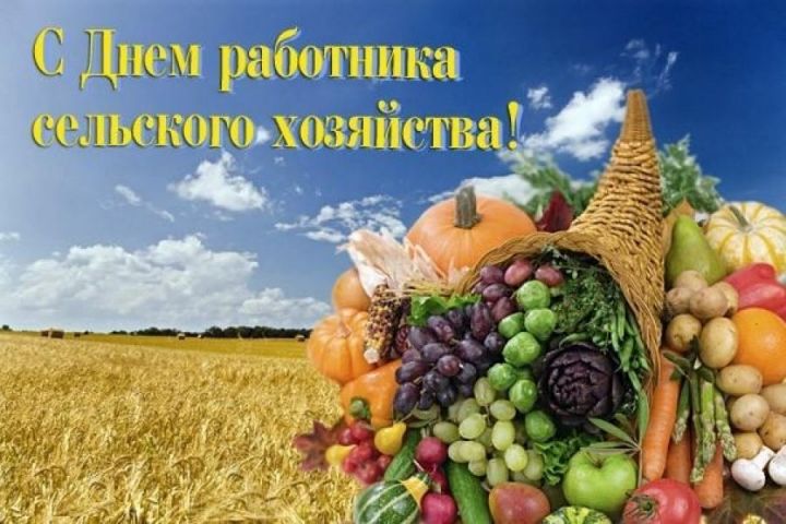 Министр сельского хозяйства и продовольствия Татарстана поздравил с днем работников сельского хозяйства