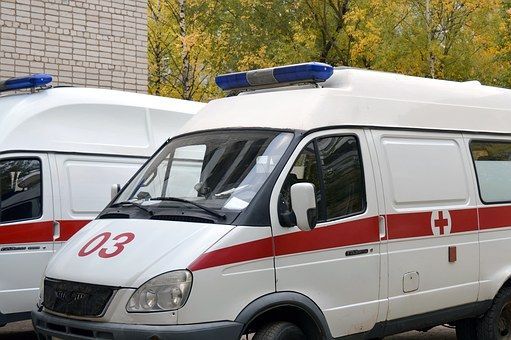 В Татарстане в 2019 году выявили 29 случаев заболевания клещевым боррелиозом