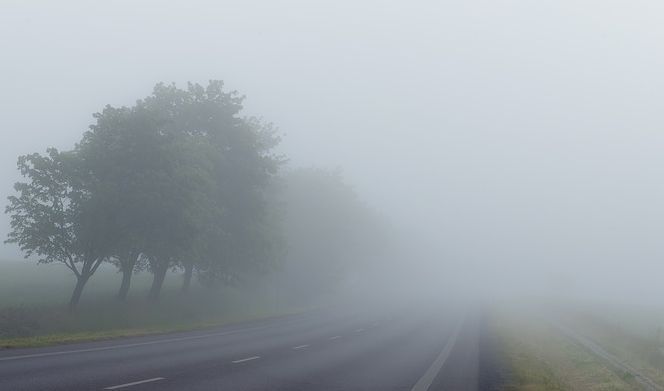 Синоптики прогнозируют сильный туман, а МЧС дает рекомендации водителям