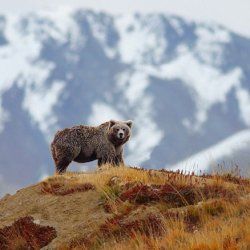 Народные приметы верхнеуслонцам  на 26 ноября