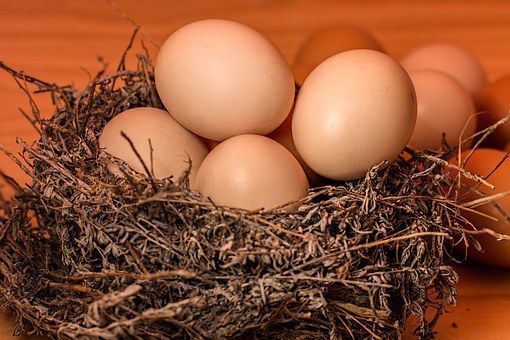 Коричневые яйца против белых: какие полезнее