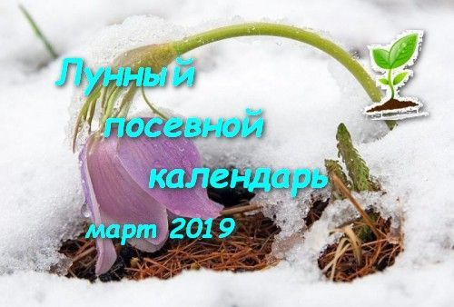 Лунный календарь садоводов и огородников для верхнеуслонцев на март 2019 года