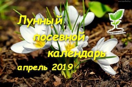 Лунный посевной календарь на апрель 2019 года