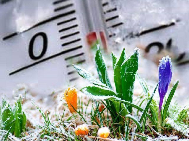 Пасха  обещает верхнеуслонцам быть холодной: Гидрометцентр предсказывает весенние заморозки