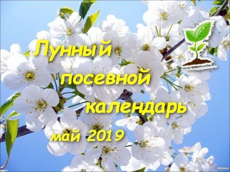 Лунный календарь садоводов и огородников для верхнеуслонцев на май 2019 года
