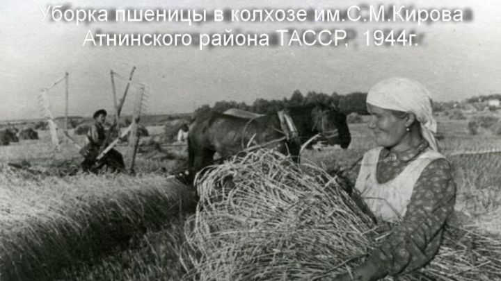 Аграрное производство ТАССР в годы Великой Отечественной войны: вклад сельских тружеников в Победу