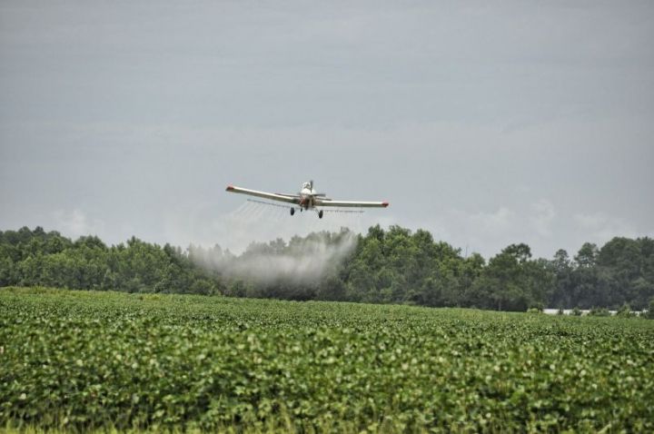 Минсельхозпрод Татарстана информирует верхнеуслонских сельхозпроизводителей о правилах применения пестицидов и агрохимикатов