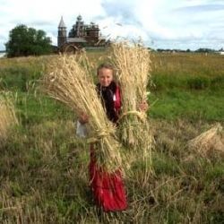 Народные приметы верхнеуслонцам на 26 июля