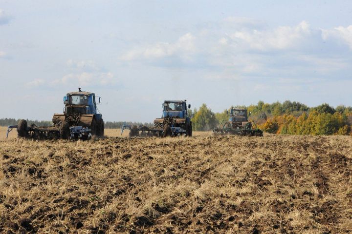 Марат Зяббаров призвал сельхозпредприятия Татарстана закончить вспашку зяби до 20 октября