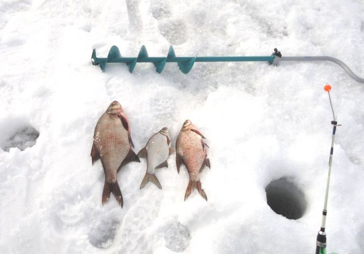 Ловись рыбка: вступил в силу закон о рыбалке