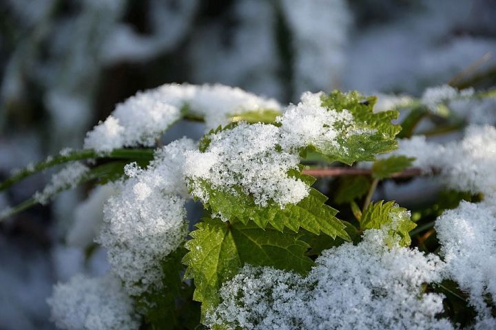 В выходные в Татарстане прогнозируется первый снег