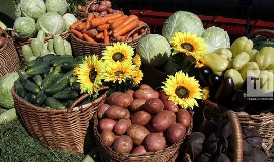Каждый третий городской житель Татарстана покупает продукты у фермеров раз в месяц