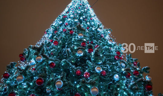 В Татарстане стали закупать меньше живых новогодних елок