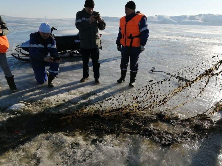 Госкомитет Татарстана по биоресурсам опроверг домыслы рыбаков о загрязнении Волги нефтепродуктами