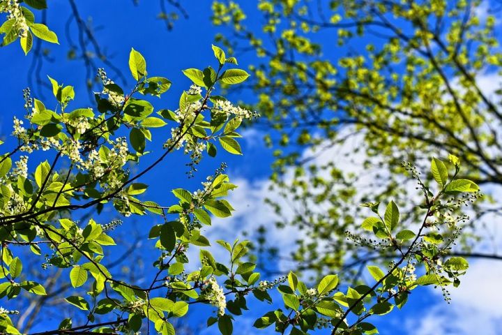 Народные приметы для верхнеуслонцев на 13 апреля