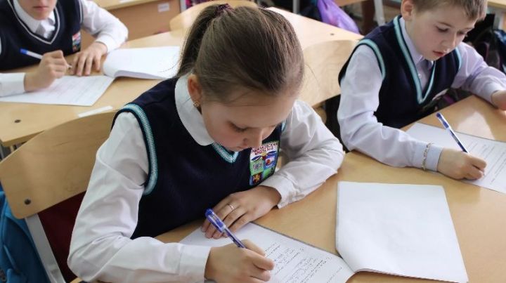 В этом учебном году татарстанские школьники не будут писать всероссийские проверочные работы