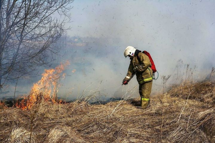 С начала года в Татарстане увеличилось число пожаров