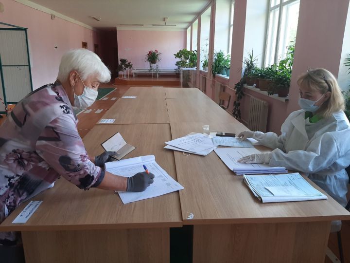 Член Общественного совета Людмила Ибряйчева проголосовала досрочно