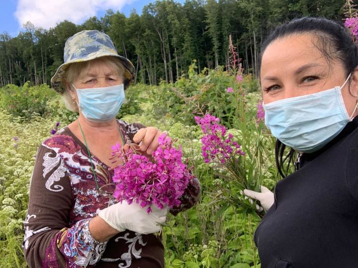 Верхнеуслонские соцработники собирают лекарственные травы со своими подопечными