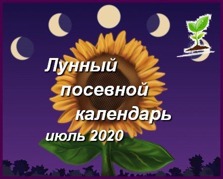 Лунный посевной календарь садовода-огородника для верхнеуслонцев на июль 2020 года