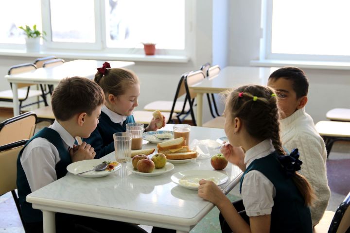Верхнеуслонских школьников готовы кормить бесплатно
