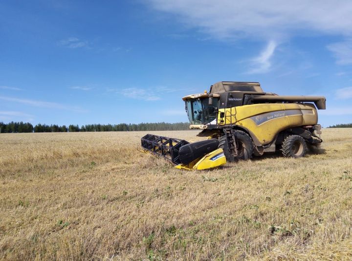 В Татарстане намолотили более 5 миллионов тонн зерна нового урожая