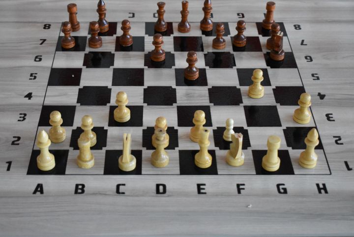 В Верхнеуслонской гимназии создали шахматные зоны