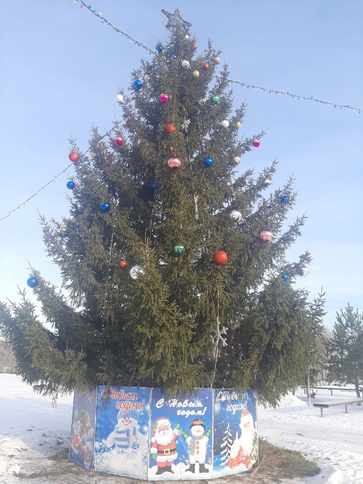 Новогодняя елка заняла свое место в Парке культуры и отдыха в Верхнем Услоне