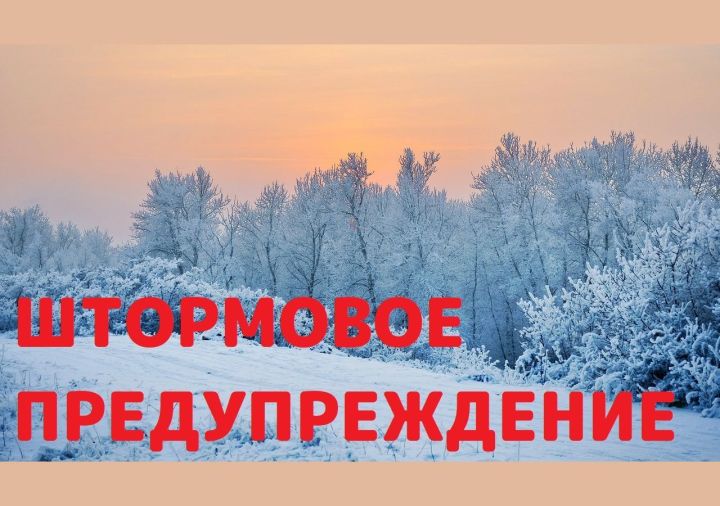 МЧС Татарстана объявило штормовое предупреждение из-за усиления ветра