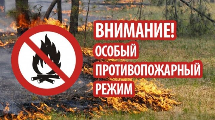 Открытый огонь под запретом: в Верхнеуслонском районе ввели особый противопожарный режим