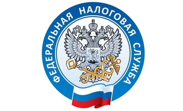 Электронные сервисы ФНС России помогут верхнеуслонцам получить ИНН уже на следующий день