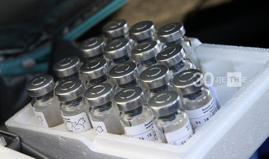 Патяшина допустила введение обязательной вакцинации при ухудшении эпидобстановки в РТ