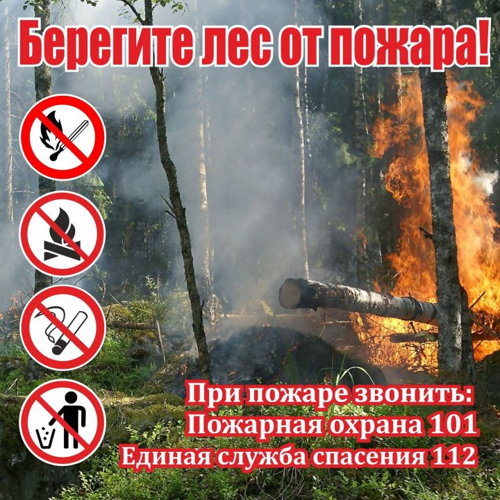 МЧС объявило штормовое предупреждение из-за высокой пожароопасности лесов